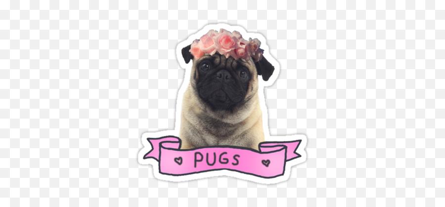 Library Of Pug Tumblr Picture Library - Transparent Tumblr Png Stickers Dog Emoji,Pug Emojis
