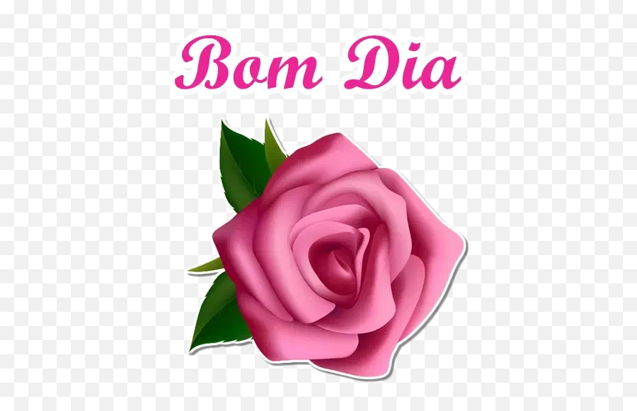 Figurinhas De Bom Dia Para Whatsapp - Clip Art Pink Roses Png Emoji,Emoticons Para Bom Dia