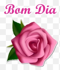 Figurinhas De Bom Dia Para Whatsapp - Clip Art Pink Roses Png Emoji,Emoticons Para Bom Dia