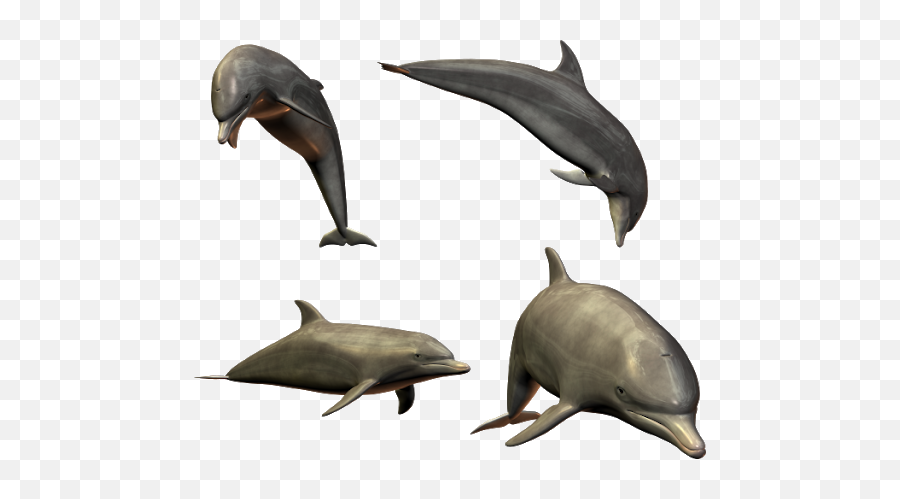 Png Images Dolphin - Dolphin White Background Emoji,Dolphins And Emotions