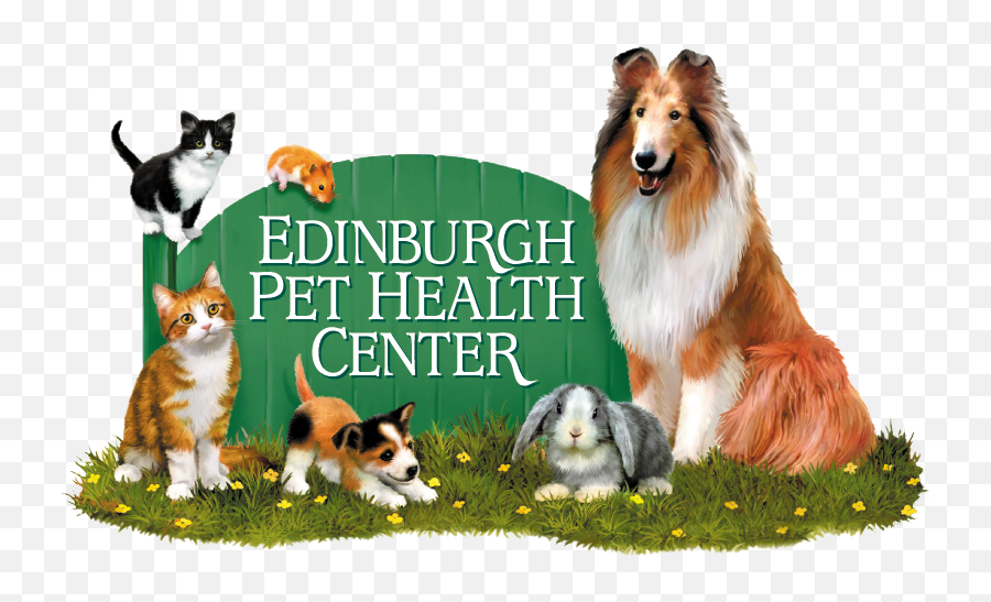 Blog - Edinburgh Pet Health Center Emoji,Dog Faces Emotions