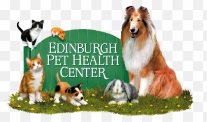 Blog - Edinburgh Pet Health Center Emoji,Dog Faces Emotions