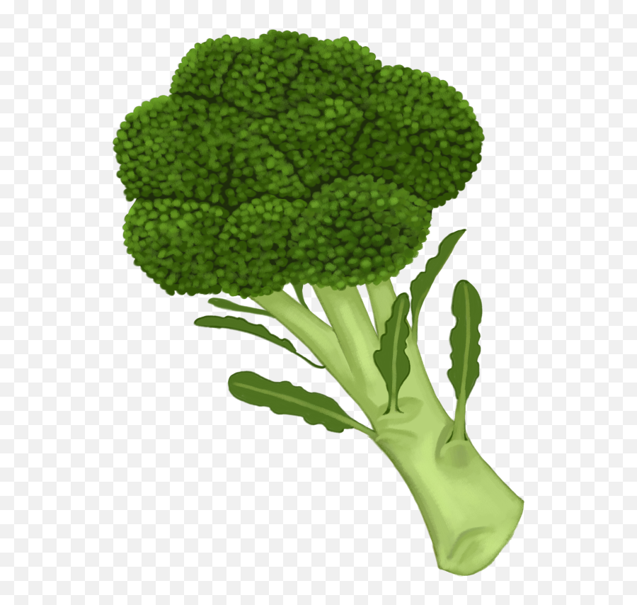 Plants Emoji,Brocoli Emoji