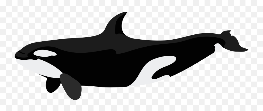 Clipart Png Whale Clipart Png Whale - Killer Whale Art Black And White Emoji,Killer Whale Emoji