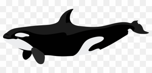 Clipart Png Whale Clipart Png Whale - Killer Whale Art Black And White Emoji,Killer Whale Emoji