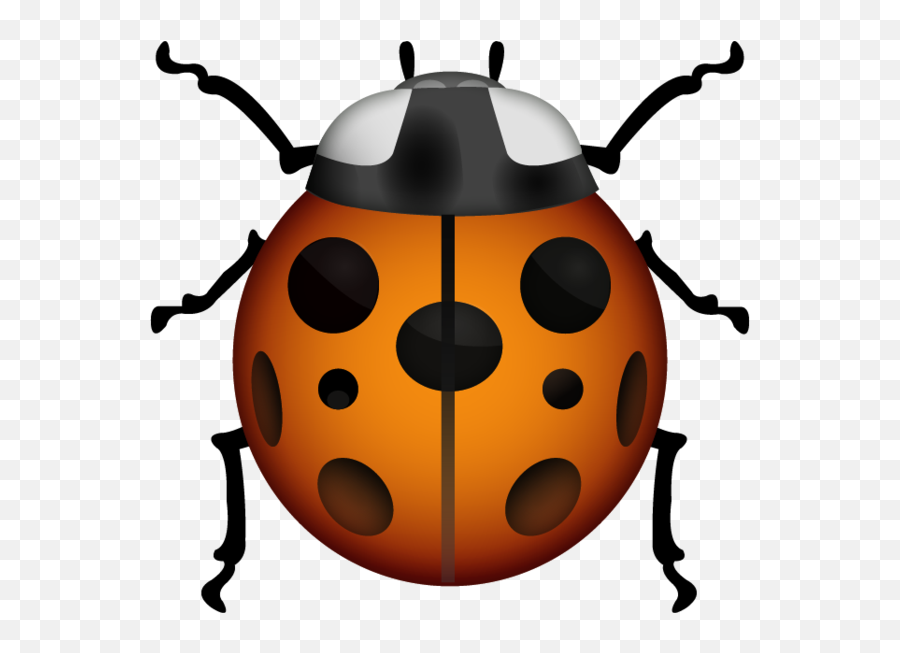 Böcekler U0026 Omurgaszlar U0026 Dier Eklembacakllar - Animales Ladybug Emoji Png,Emojis Png
