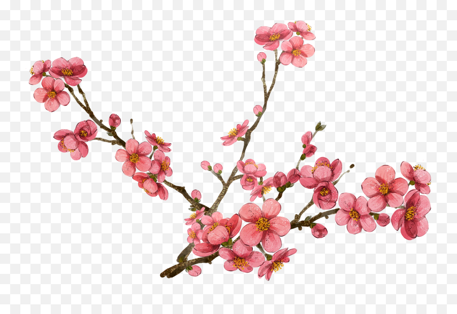 Cherry Blossom Clipart - Transparent Cherry Blossom Png Transparent Cherry Blossom Png Emoji,Cherry Blossom Emoji