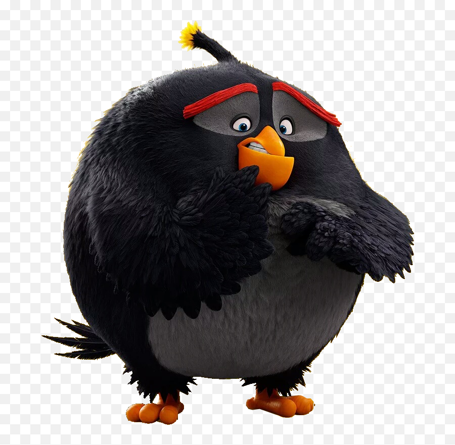 50 Angry Birds Ideas Angry Birds Angry Birds Movie Birds - Transparent Angry Birds Bomb Png Emoji,Maya Rudolph Emoji Movie