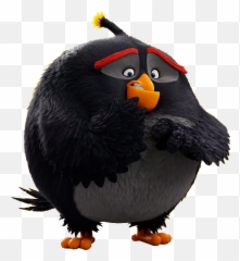 50 Angry Birds Ideas Angry Birds Angry Birds Movie Birds - Transparent Angry Birds Bomb Png Emoji,Maya Rudolph Emoji Movie