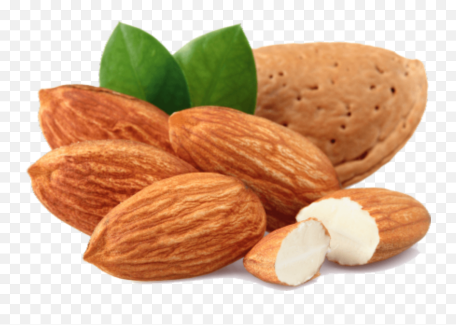 Almonds Nuts Sticker - Transparent Almond Png Emoji,Nuts Emoji
