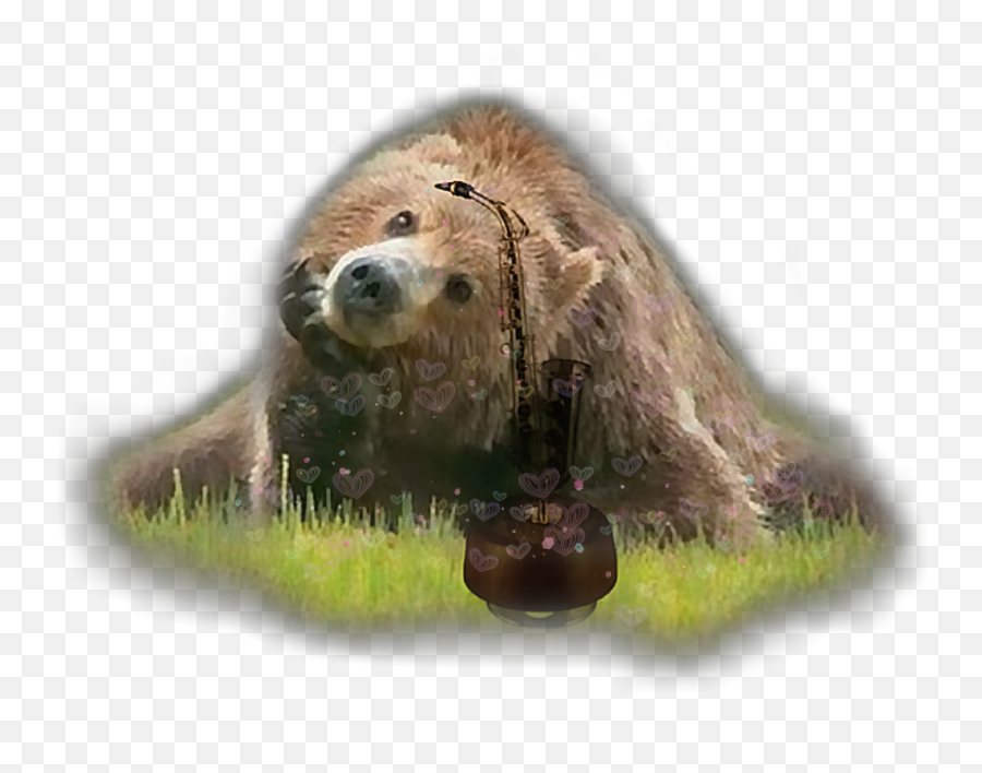 Wyzwanie Sticker - Animals Stuck In Clothes Emoji,Grizzly Bear Emoji Android