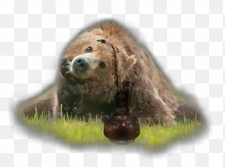 Wyzwanie Sticker - Animals Stuck In Clothes Emoji,Grizzly Bear Emoji Android