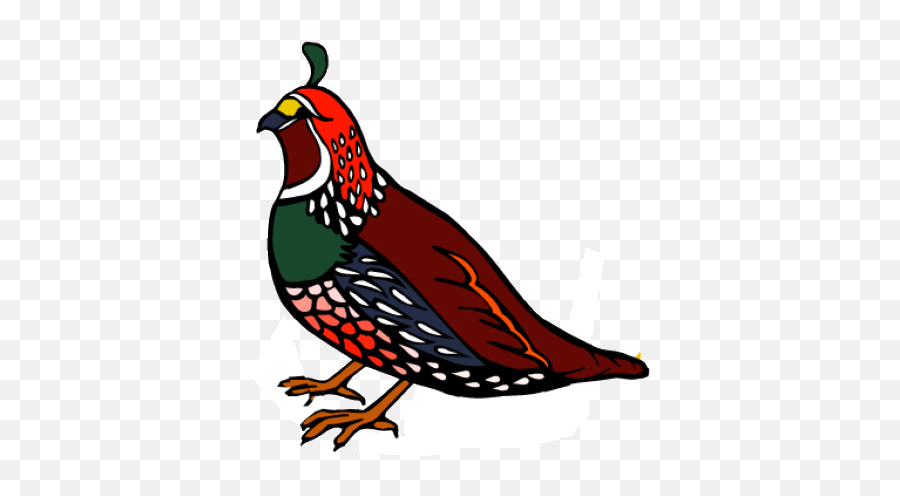California State Bird Coloring Page - California State Bird Transparent Emoji,Oriole Emoji