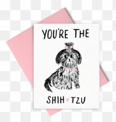 Friendship Hucklebeary Emoji,Schnauzer Emoticons