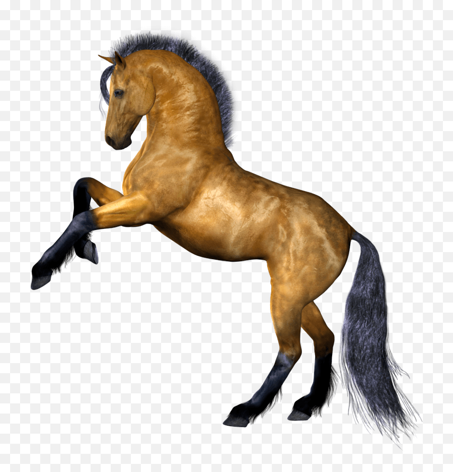 Free Horse Face Icon Emoji,Horse Rider Emoji
