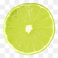 Dilim Resimler - Ücretsiz Resimleri Ndir Pixabay Rodaja De Limon Png Emoji,Emoji El Hareketleri