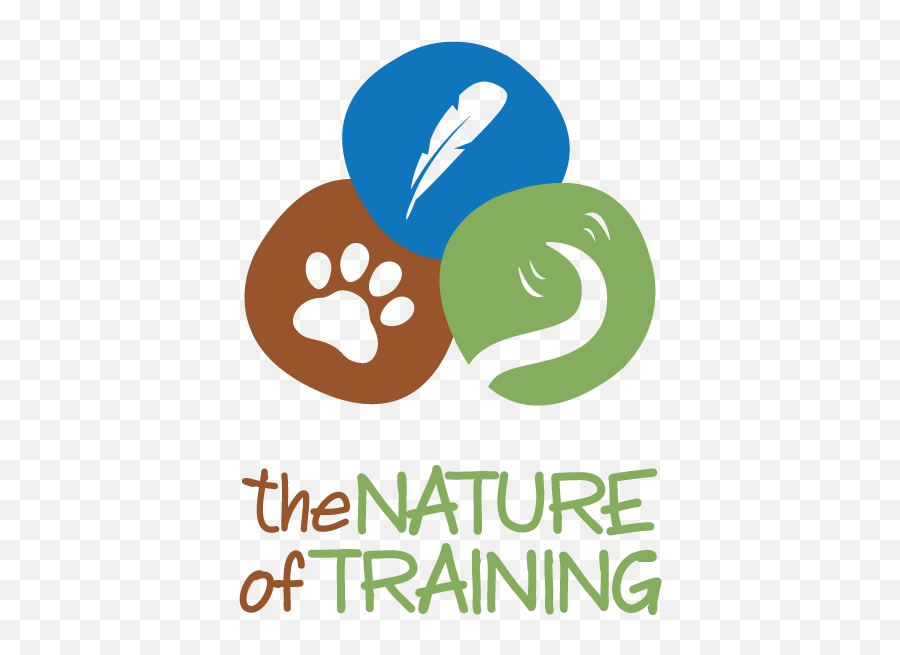 Testimonials The Nature Of Training Emoji,Emotion Lotion Mr Show