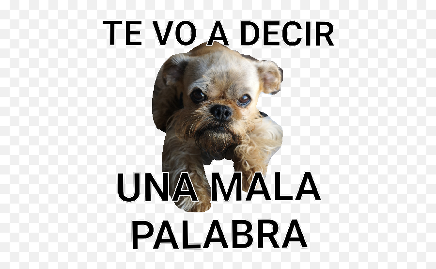 Rommel Y Lylo Emoji,Como Decir Te Quiero En Se?ales De Emojis