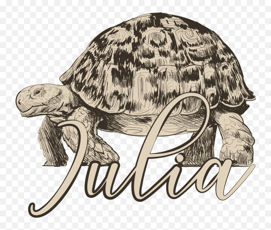 Turtles With Name Couple Shirts - Box Turtles Emoji,Funny Emoji Shirts