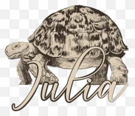 Turtles With Name Couple Shirts - Box Turtles Emoji,Funny Emoji Shirts