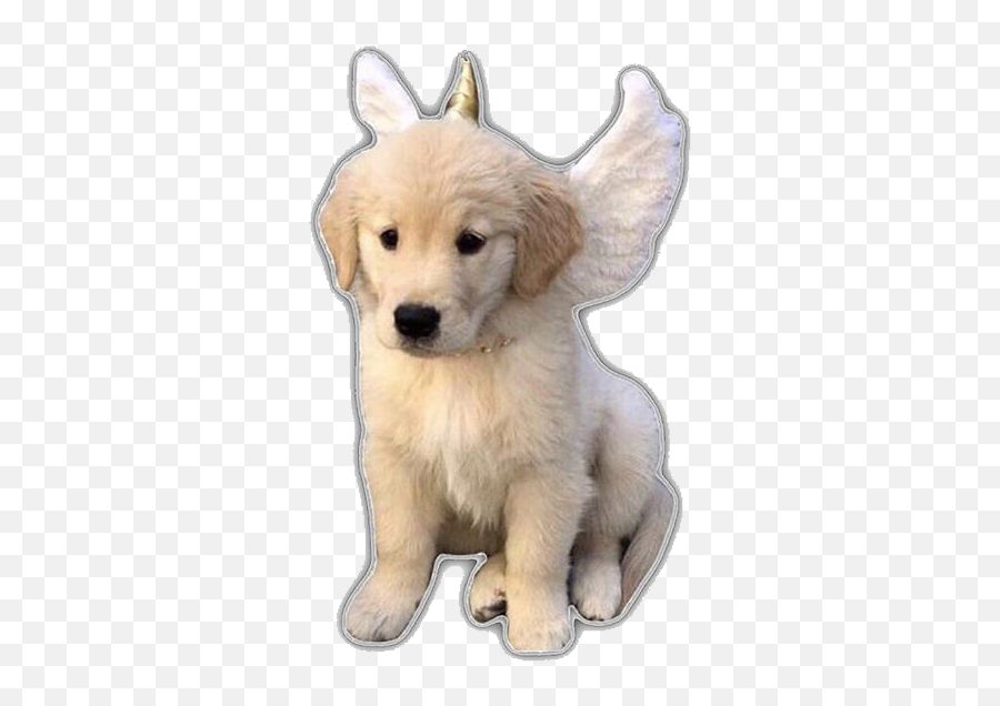 The Most Edited Dogs Picsart - Angel Dog Aesthetic Emoji,Emoji Badges Imvu