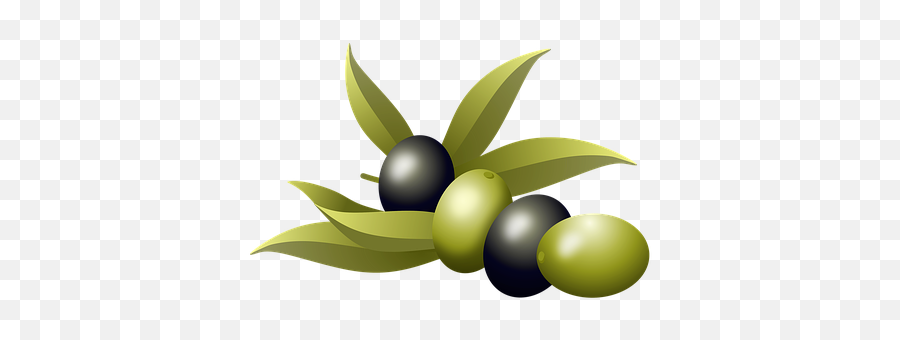 100 Free Saure U0026 Acid Illustrations - Pixabay Olive Emoji,Olive Emoji