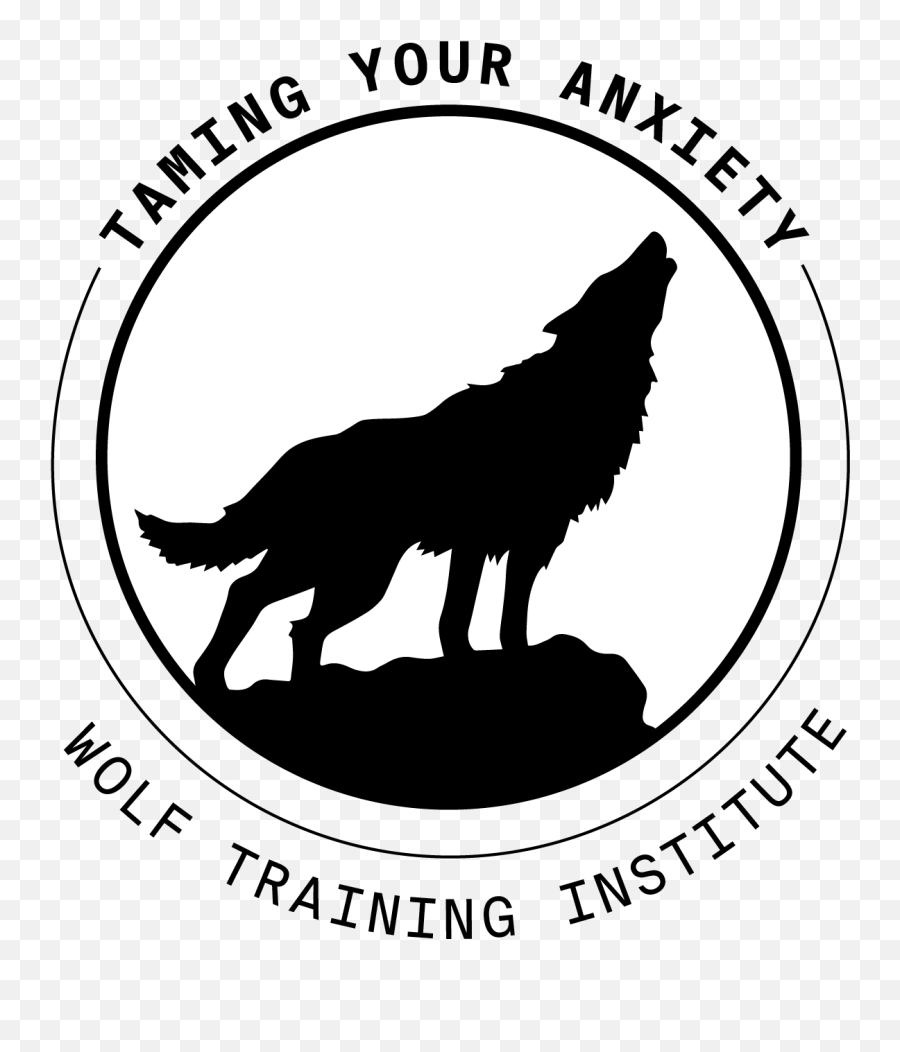 Mirror Mirror On The Wallu2026 U2014 Wolf Training Institute Emoji,Mirror Emotions