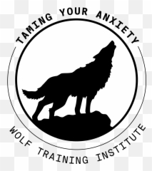 Mirror Mirror On The Wallu2026 U2014 Wolf Training Institute Emoji,Mirror Emotions
