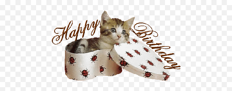 Tag For Cat Transparent Background - Alles Gute Zum Geburtstag Gif Katze Emoji,Happy Birthday Cat Emoticons