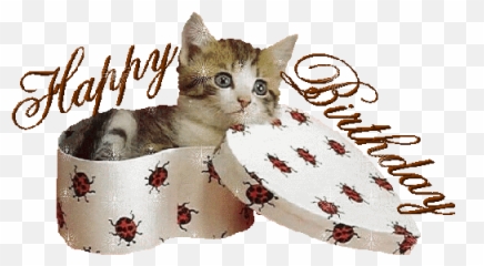 Tag For Cat Transparent Background - Alles Gute Zum Geburtstag Gif Katze Emoji,Happy Birthday Cat Emoticons