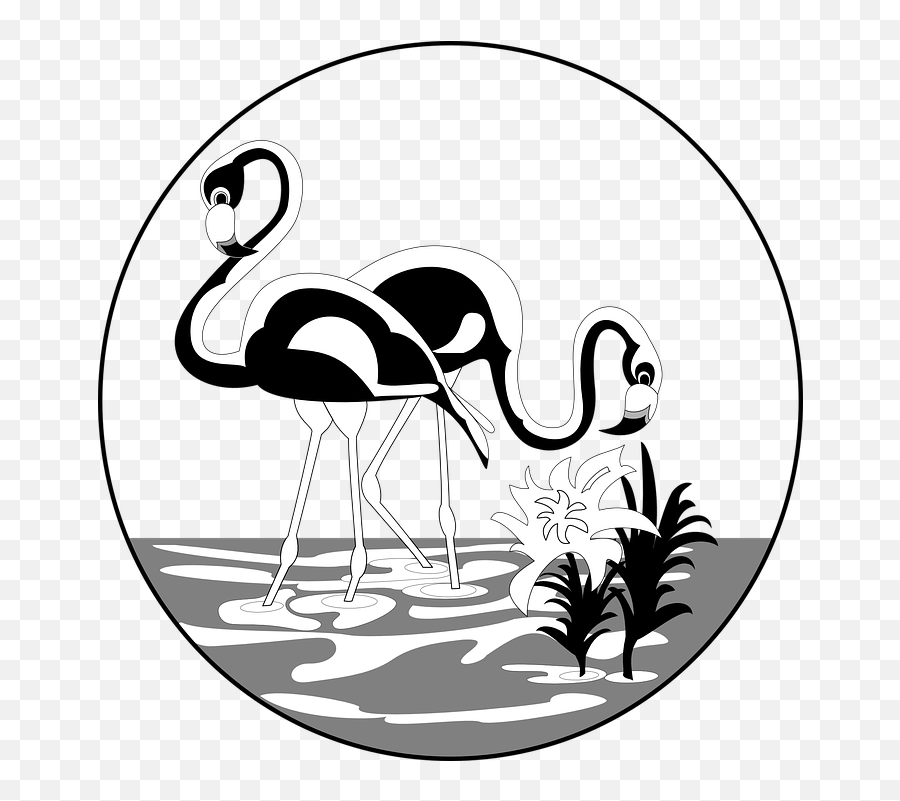 Flamingo Clipart Face - Flamingos Black And White Clipart Emoji,Flamme Emoji Png