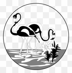 Flamingo Clipart Face - Flamingos Black And White Clipart Emoji,Flamme Emoji Png