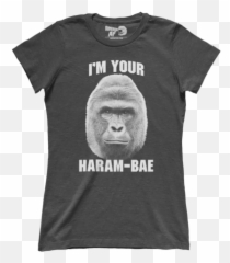 Harambe - Boobs Guns Freedom Beer Truml Emoji,I'm Harambe And This Is My Zoo Emoji