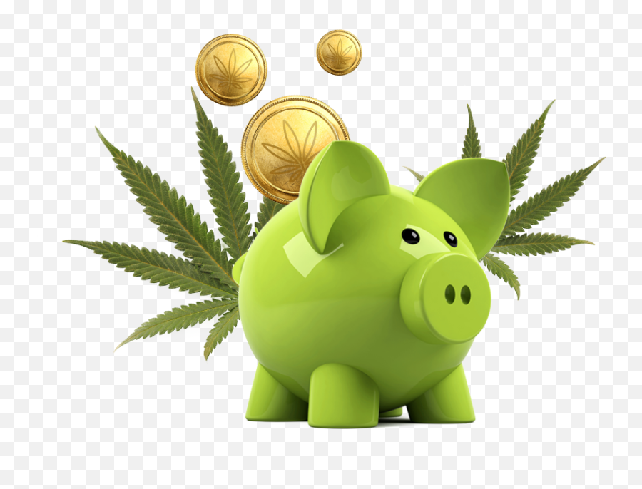 Purchase Marijuana Online - Fast Guaranteed Shipping Cash Emoji,Cannabis Piggy Emoticon