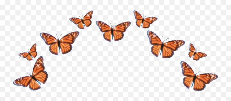 Orange Emoji Orangeemoji Butterfly Sticker By Snmyart,Emojis Butterfly