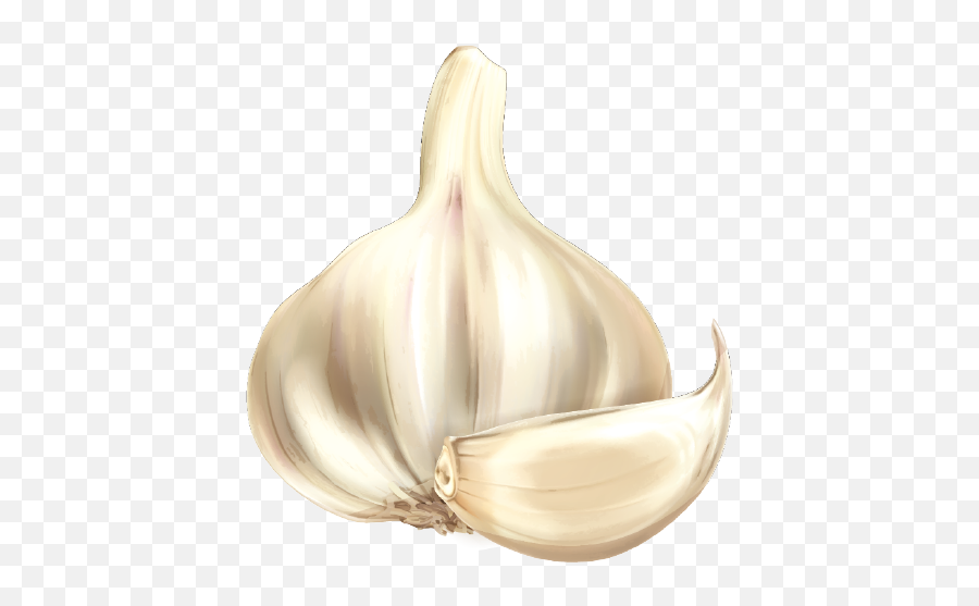 Garlic Cartoon Vegetable - Cartoon Garlic Png Download 600 Cartoon Garlic Png Emoji,Garlic Bread Emoji