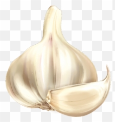 Garlic Cartoon Vegetable - Cartoon Garlic Png Download 600 Cartoon Garlic Png Emoji,Garlic Bread Emoji