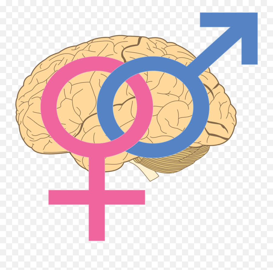 Queer Cafe - Sapiosexual Wikipedia Emoji,Asexual Heart Emoji