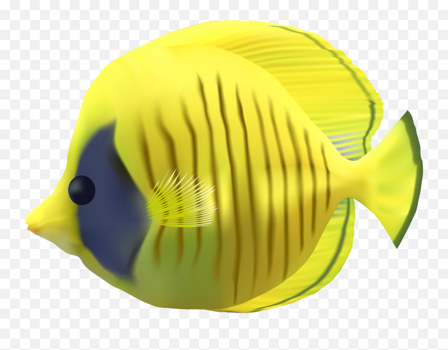 Download Clipart Fish Transparent Background - Transparent Transparent Background Fish Transparent Emoji,Coral Reef Emoji