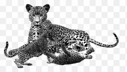 Vapaan Kasvatuksen - Jaguar Cub Transparent Background Emoji,Emoji Merkitykset