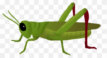 Grasshopper Png Transparent Png - Transparent Grasshopper Clip Art Emoji,Grasshopper Emoticon Small Icon-size