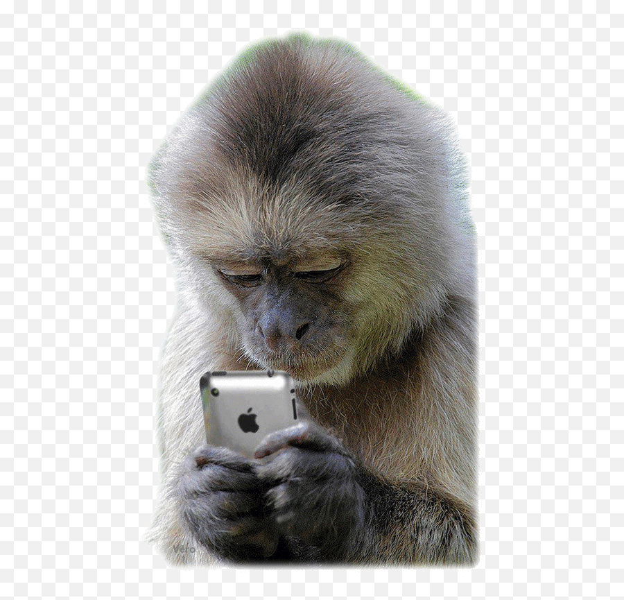 Google Cute Love Gif Funny Emoji Faces Funny Gif - Animal Texting On Phone,Rake Emoji