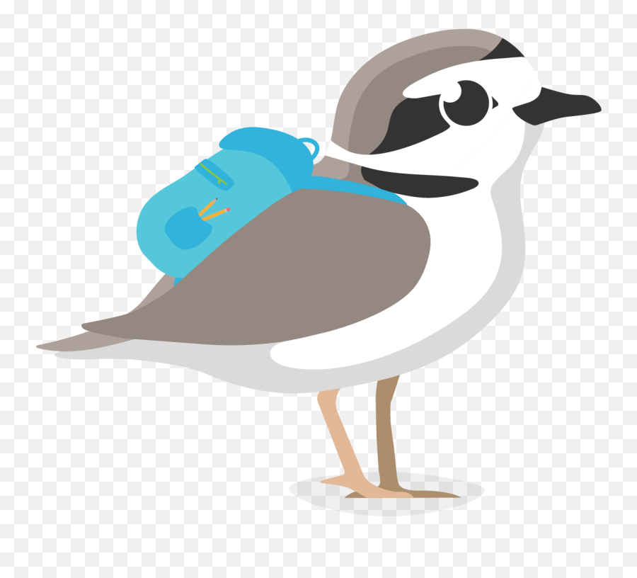 Town Of Scarborough Plover Program - Wader Emoji,Cartoon Animals Expressing Emotions