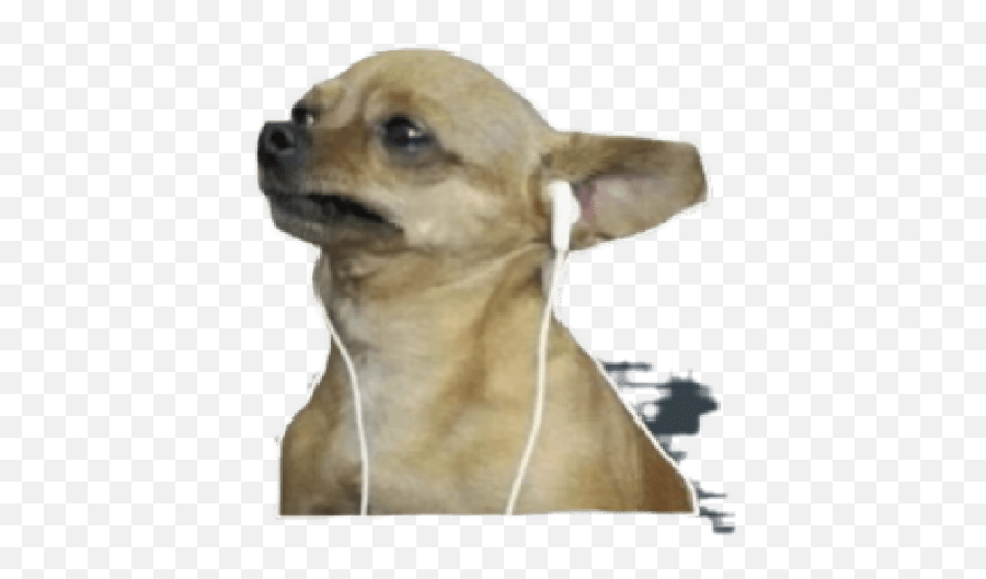 Depressão - Chihuahua Emoji,Chihuahua Emoticon