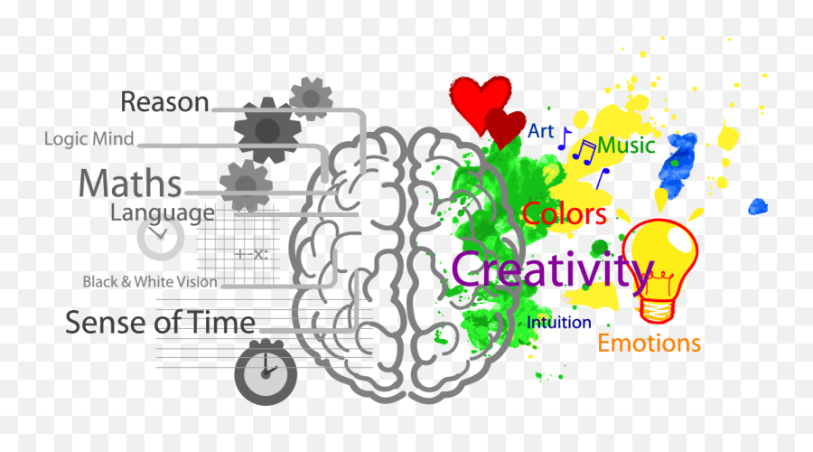 Adhd Learning Styles - Left And Right Brain Development Emoji,Emotions Are Weakness