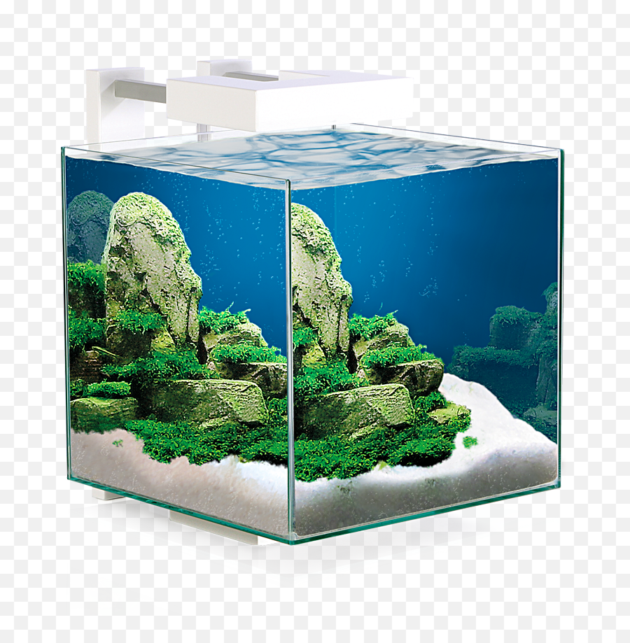 Nexus 15 Led Fiskabúr - Aquascaping Emoji,Fiskar Emotion