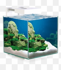 Nexus 15 Led Fiskabúr - Aquascaping Emoji,Fiskar Emotion