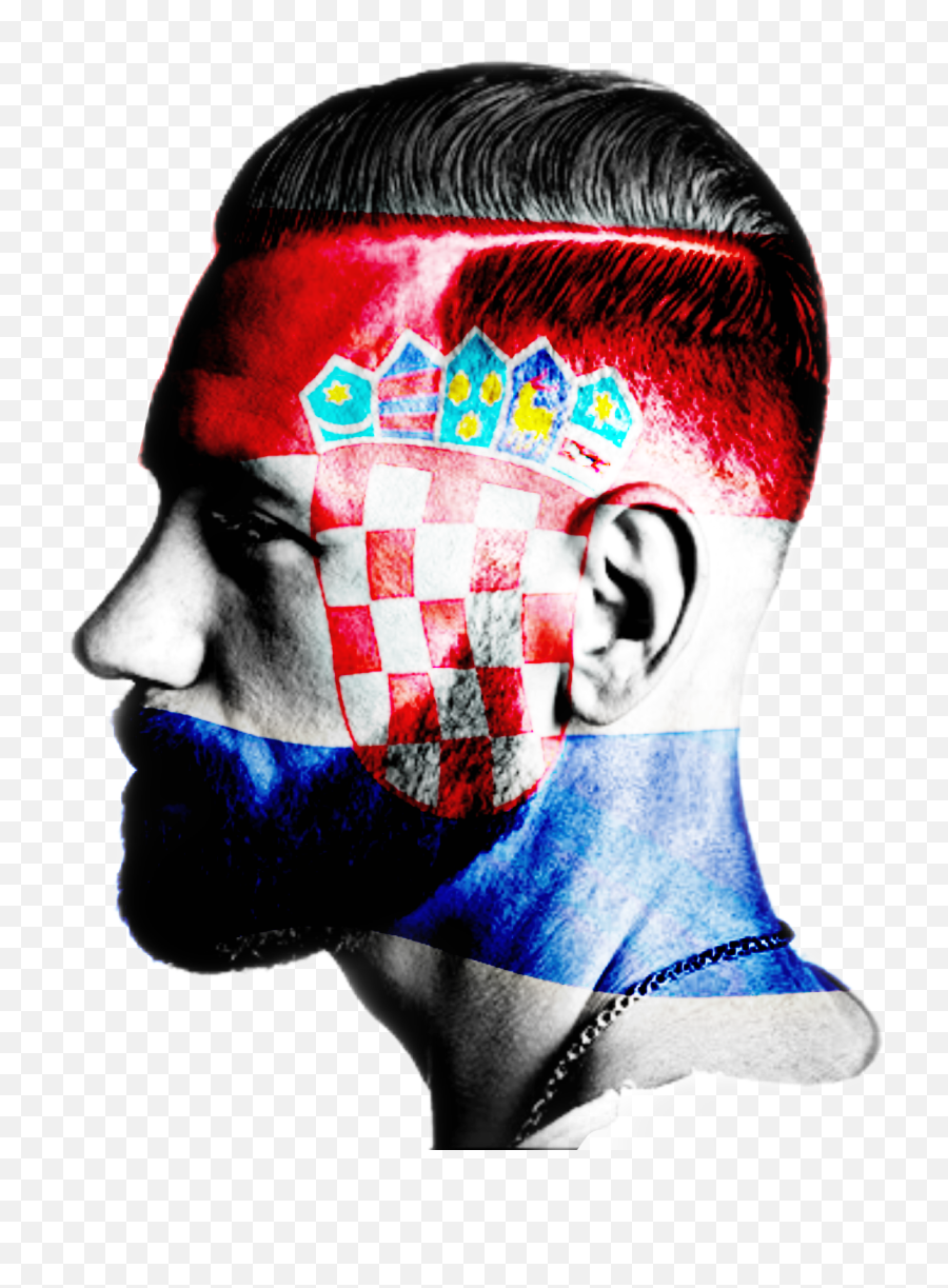 Hrvatska Croatia Flag Face Profilo - Hair Design Emoji,Croatia Flag Emoji