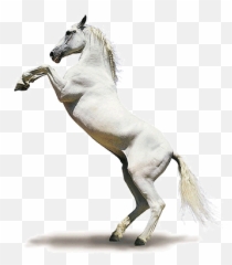 250 Word Essay On Mariah Carey - Cheval Blanc Fond Blanc Emoji,Emotion Mariah Carey