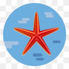 Sea Animal Red Starfish Free Icon Of - Vertical Emoji,Deviant Art Starfish Emoticon